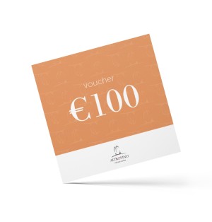 Cadeaubon 100€