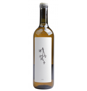 Manlio Bianco 2021 (White...