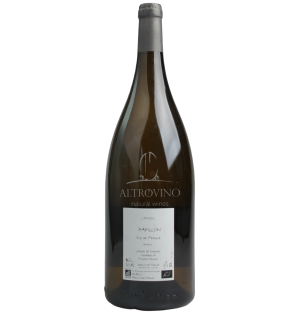 Papillon 17/18 MAGNUM