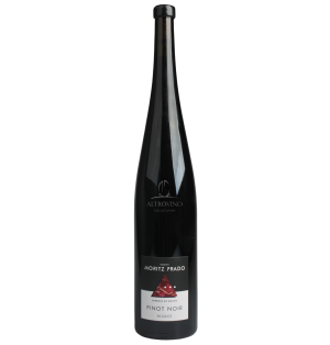 Pinot Noir - Terre de Roche...