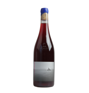DOM XXIII