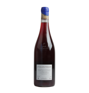 DOM XXIII