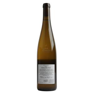 Riesling Pur 2023