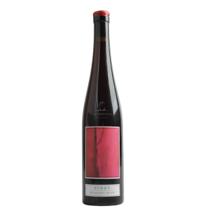 Pinot 2023