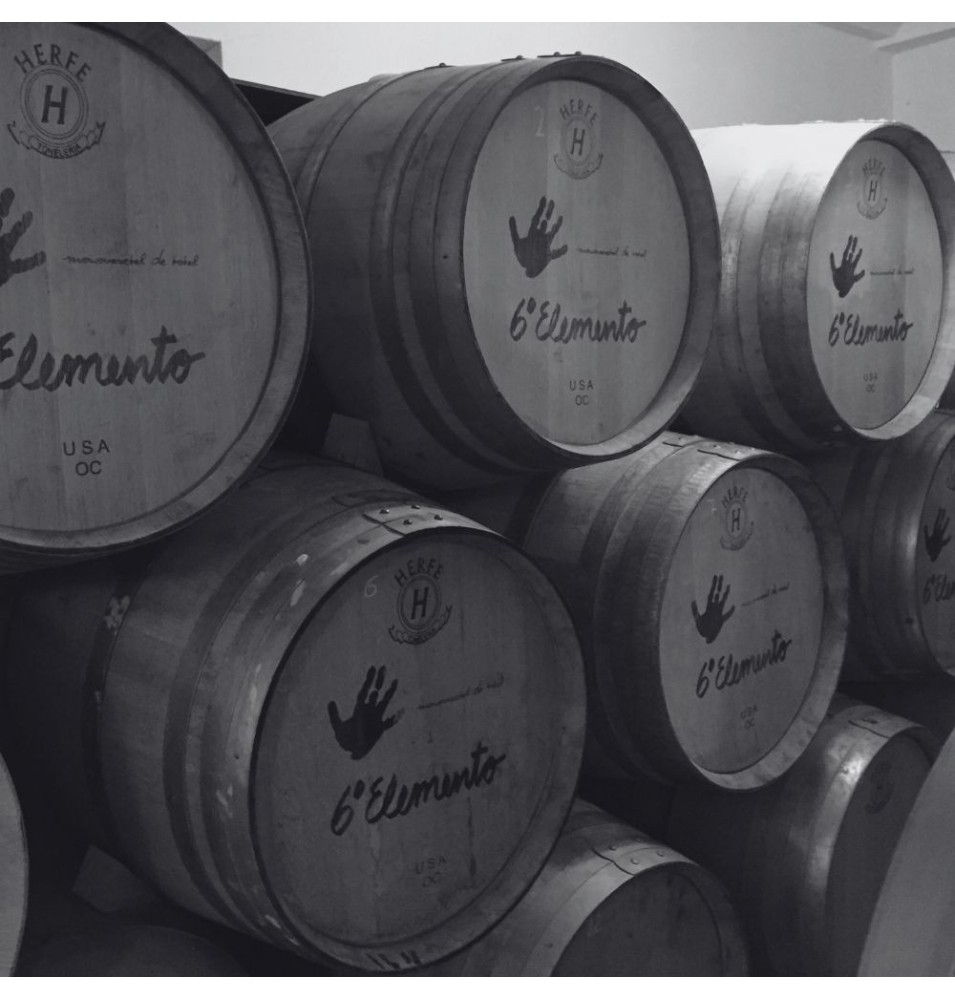 Vino Sexto Elemento — Rafa Lopez