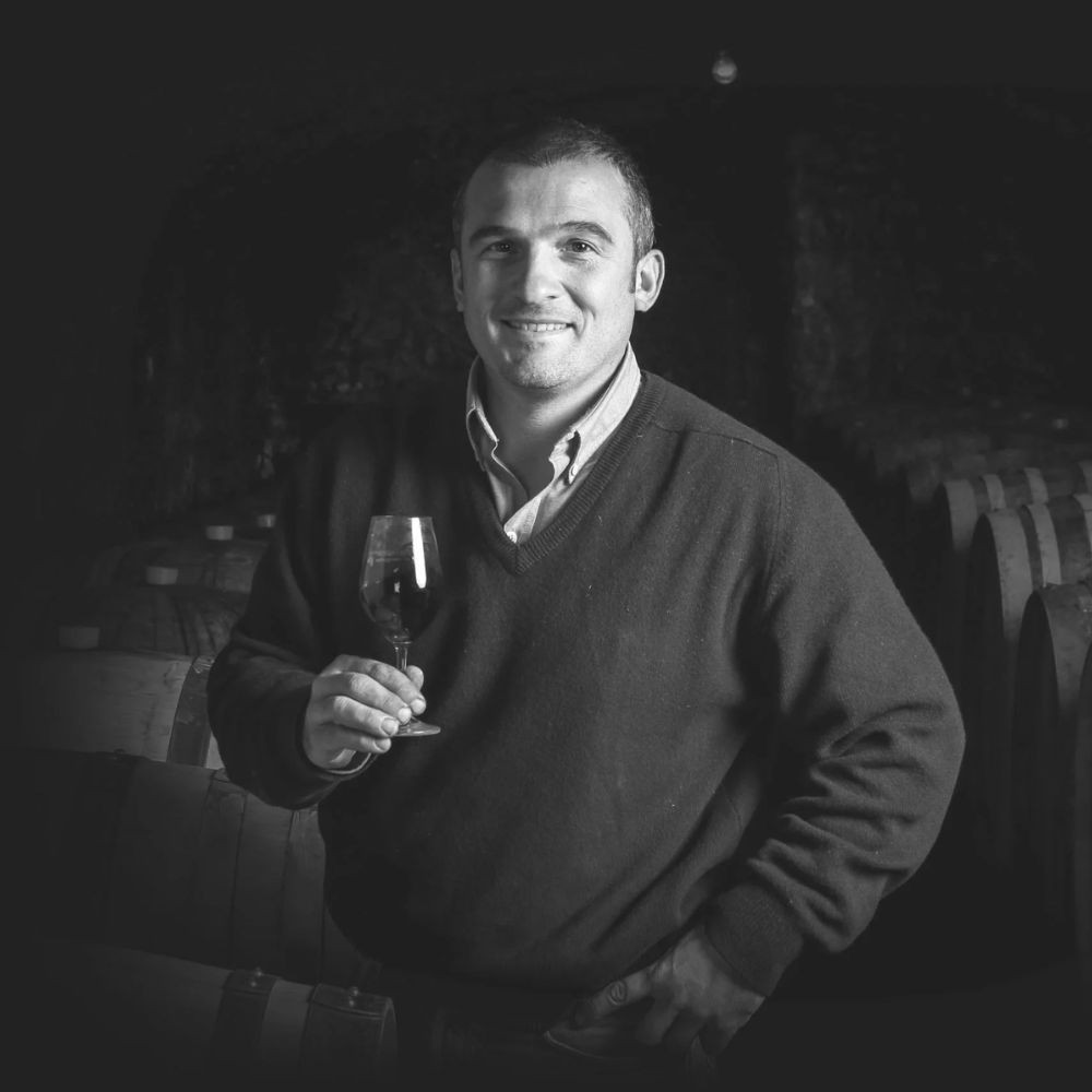 Domaine Jean-François Mérieau