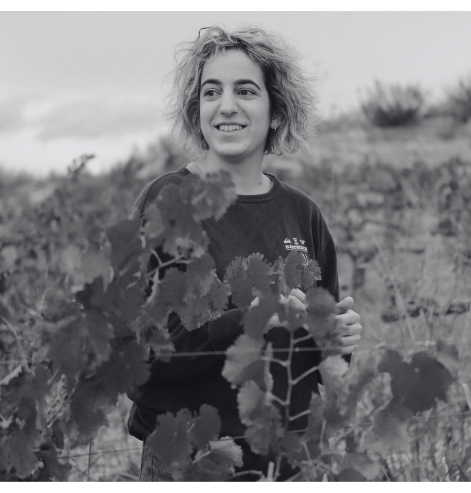 Niloufar Wine